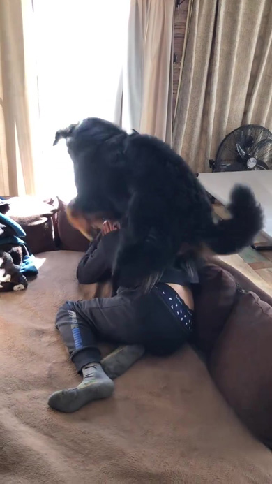 マウントをとるワンコ