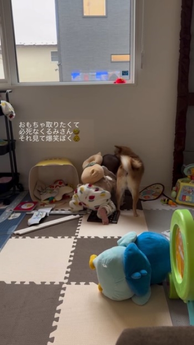 おもちゃを取る赤ちゃん