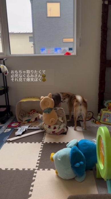 座り直す赤ちゃん