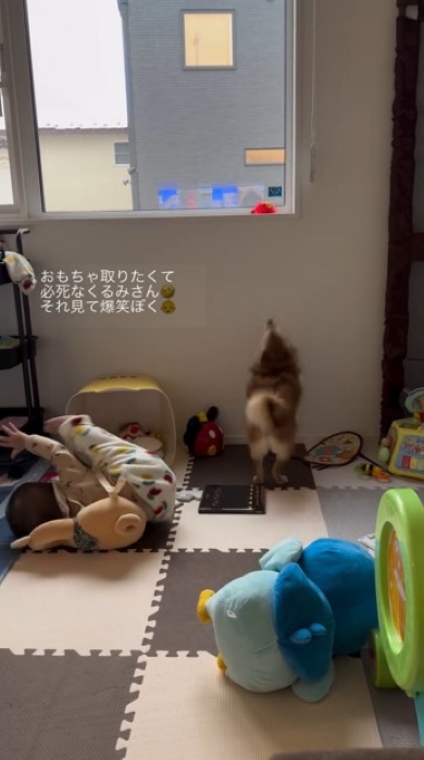 転倒する赤ちゃん