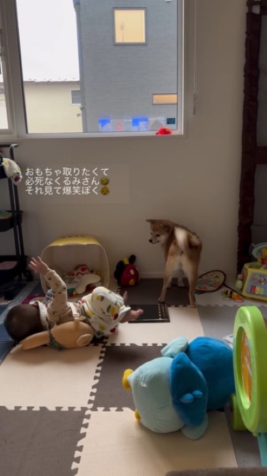 転倒する赤ちゃん