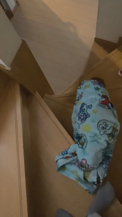 ブランケットをかぶって階段を降りる猫ちゃん