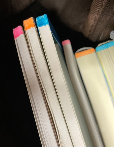 ノート色分け後