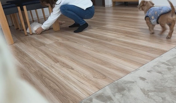 背ばいで進む赤ちゃんとウロチョロするワンコ