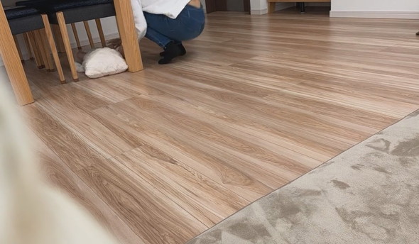 背ばいで進む赤ちゃんとウロチョロするワンコ