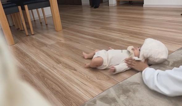 背ばいで進む赤ちゃんとウロチョロするワンコ