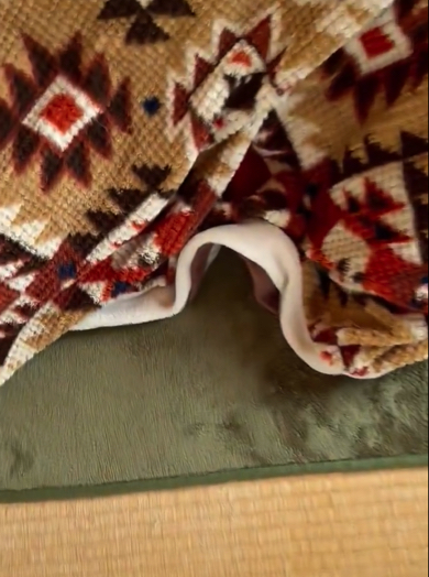 こたつの中を確認する飼い主