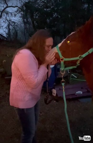 馬をサプライズプレゼント