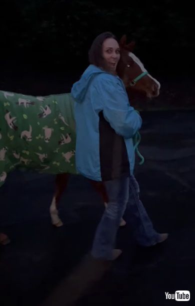 馬をサプライズプレゼント