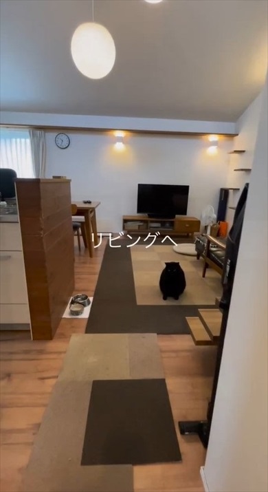 一戸建てのルームツアー