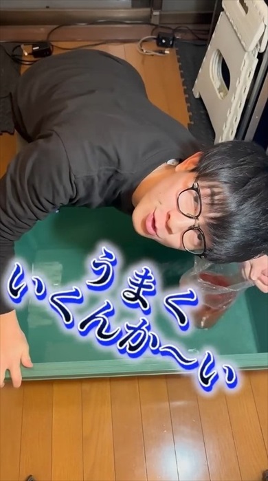 金魚にスプレーをかける理由