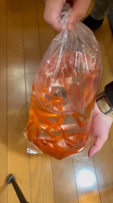 金魚にスプレーをかける理由