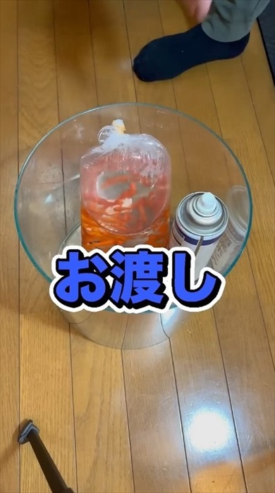 金魚にスプレーをかける理由