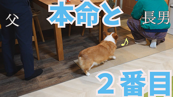 おすすめ