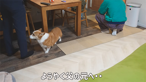 ようやく父のもとへ