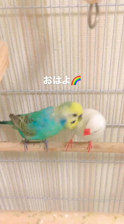 左からハルくん