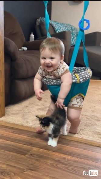 子猫がやってきてうれしそうな赤ちゃん