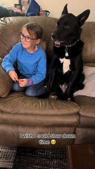 いつも一緒で仲良しな娘と犬