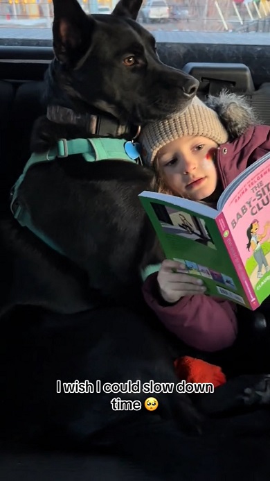 いつも一緒で仲良しな娘と犬