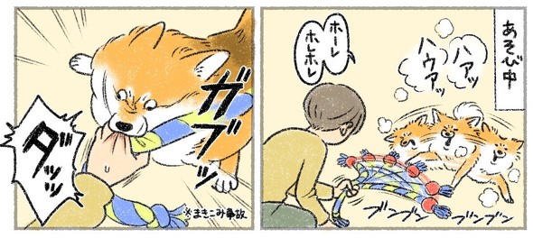 ワンコの詫び状