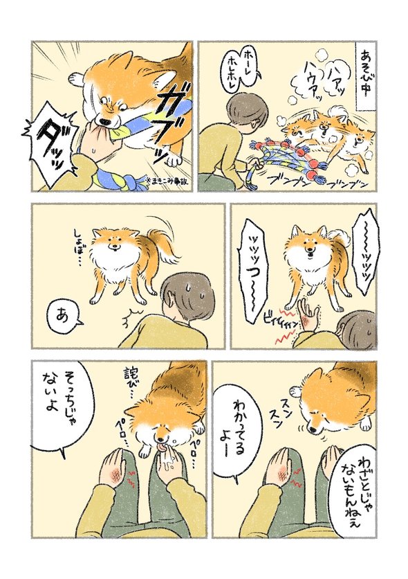 ワンコの詫び状