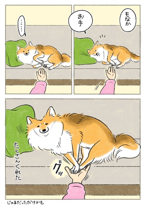 たくさんお手をくれました