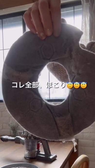 ほこりを持つ女性