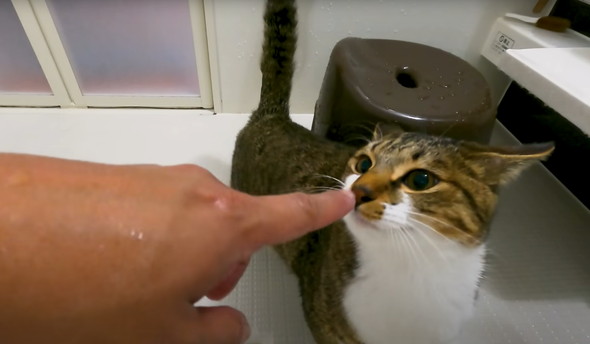 おすすめ