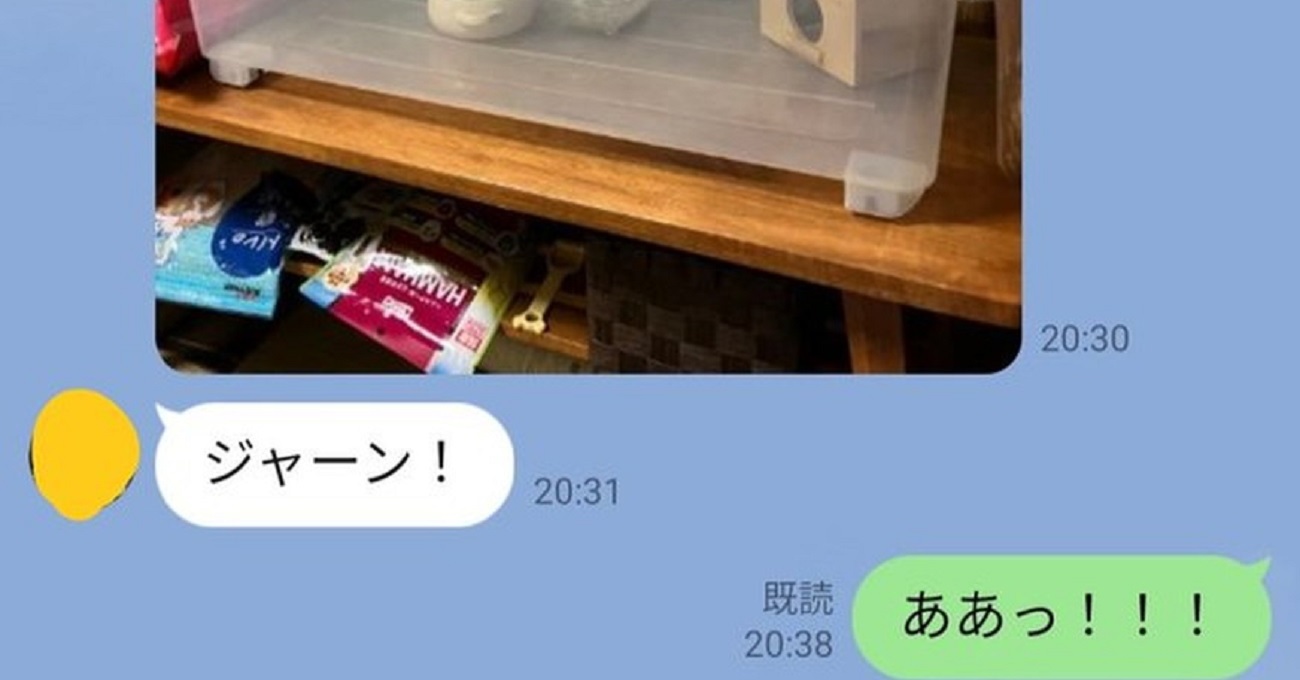 「ハムスター飼う」と話していた母からの報告LINEに「待って、オチww」「ワクワクのハハ太郎」　ほっこりやりとりが530万表示（1/2） | ねとらぼ