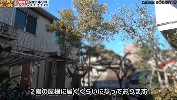 庭木を抜根した結果