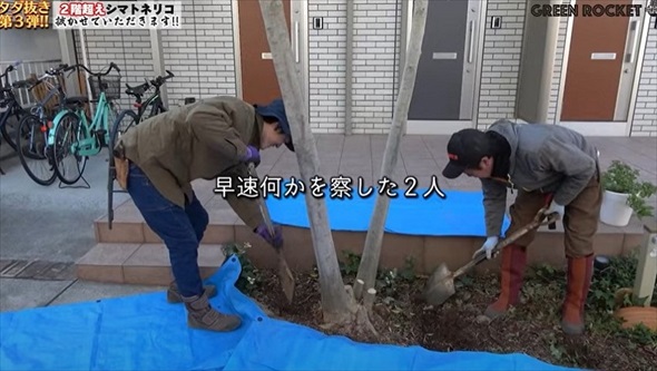 庭木を抜根した結果