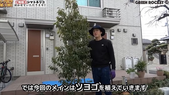 庭木を抜根した結果