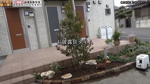 庭木を抜根した結果