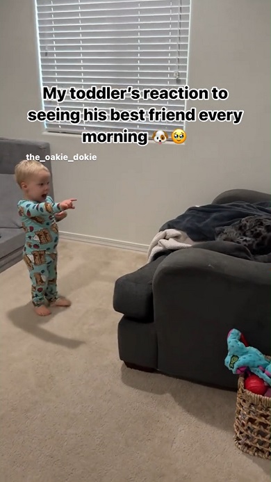 親友ワンコに毎朝おはようのあいさつをする男の子