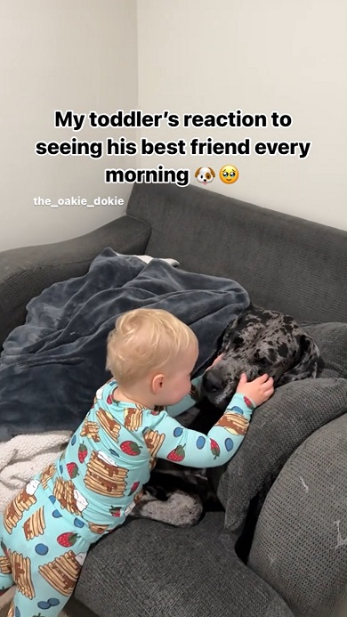 親友ワンコに毎朝おはようのあいさつをする男の子