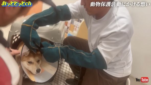 香川県で保護犬活動を行う後藤祐樹