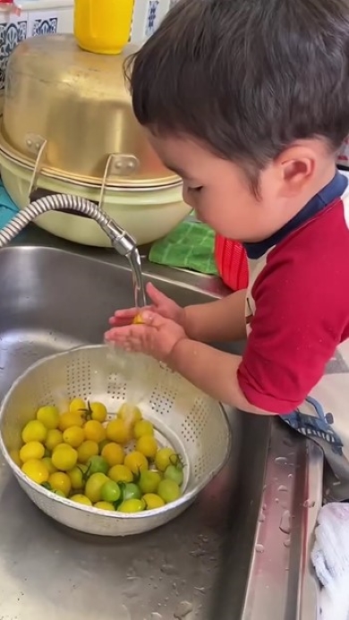 ミニトマトを洗う男の子