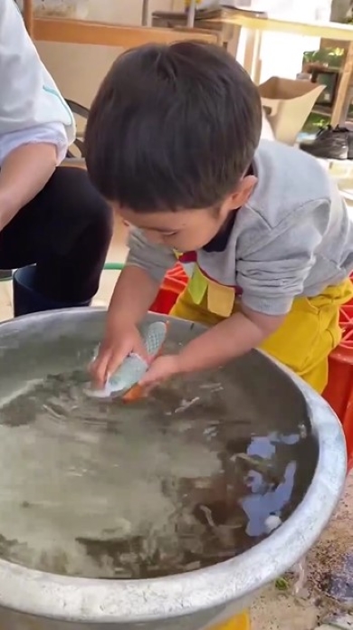 人参を洗う男の子