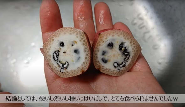 古民家になってる実