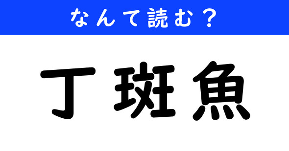 漢字クイズ　難読漢字　丁斑魚