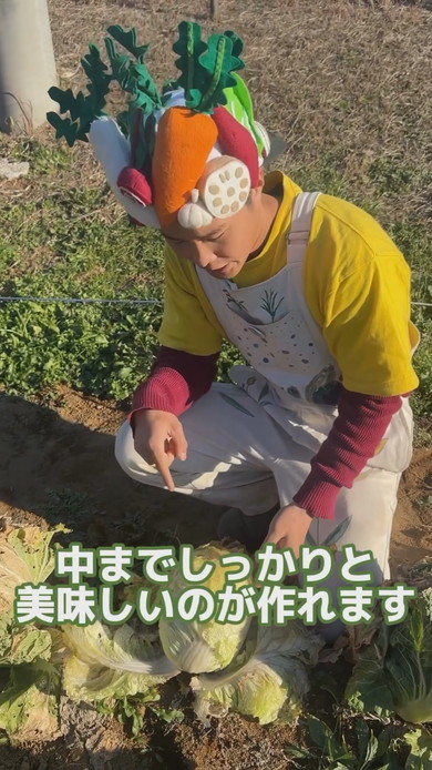 外側をめくると中から出てくるきれいな白菜