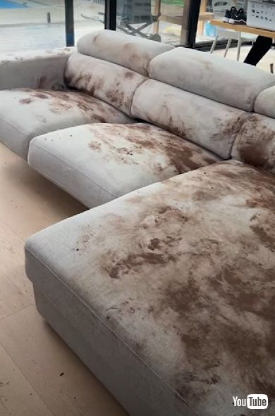 ソファを汚すワンコ