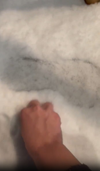 手で動物の足跡を作る