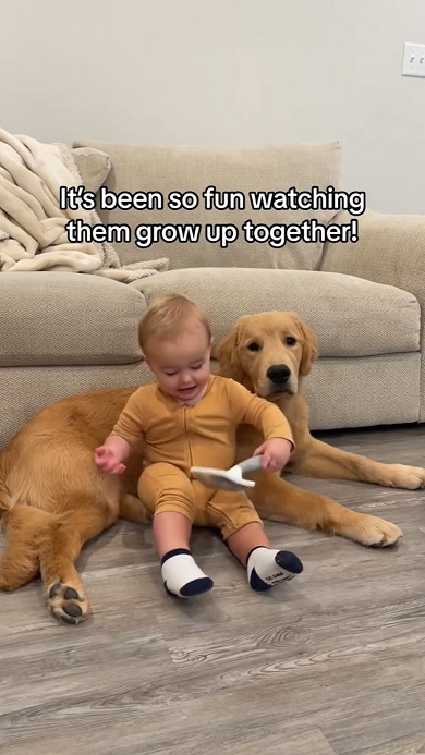 息子が9カ月のときにお迎えした子犬との成長記録