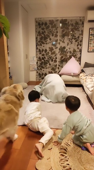 毛布おばけに食べられ待ちの息子たちとワンコ