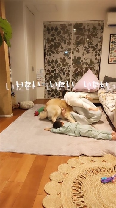 毛布おばけに食べられ待ちの息子たちとワンコ