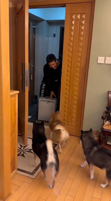 玄関を開けるお兄ちゃんと駆け寄るワンコ