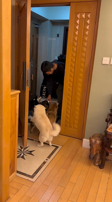 白いワンコも駆け寄ってきた