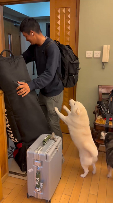 立ち上がる白いワンコ