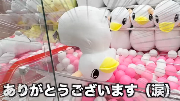 ぬいぐるみゲット